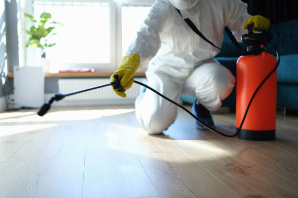 Reliable Trauma Scene Cleanup contractor in De Soto, IL by Trauma Clean Pros